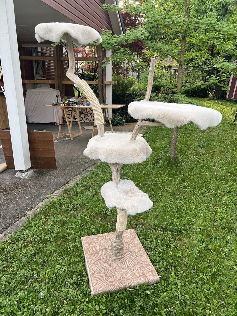 Arbre à chat artisanal en bois flotté avec plateformes moelleuses et grattoirs en corde