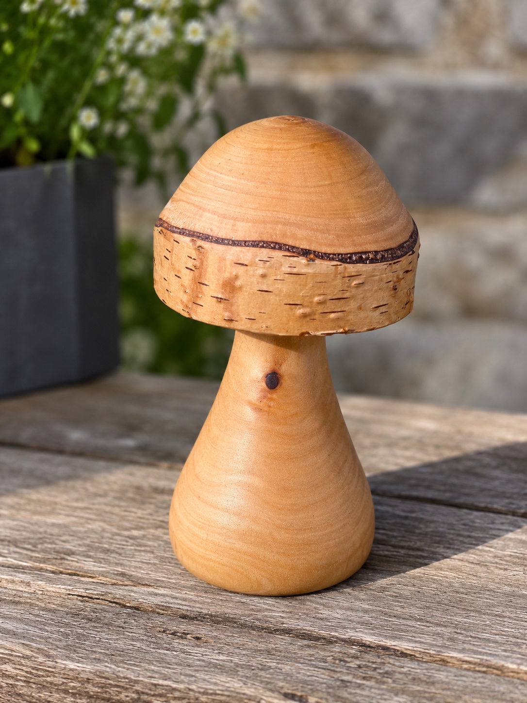 Champignon décoratif en bouleau avec une bande d’écorce naturelle autour du chapeau