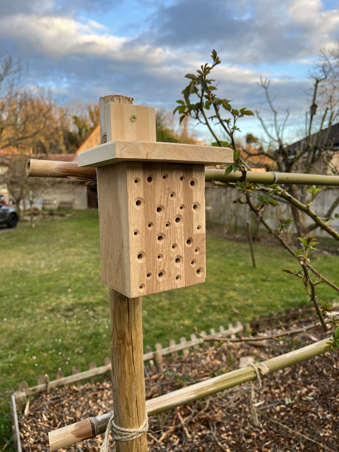 Hôtel à insectes en chêne installé sur un pieu parmi les plantations du jardin