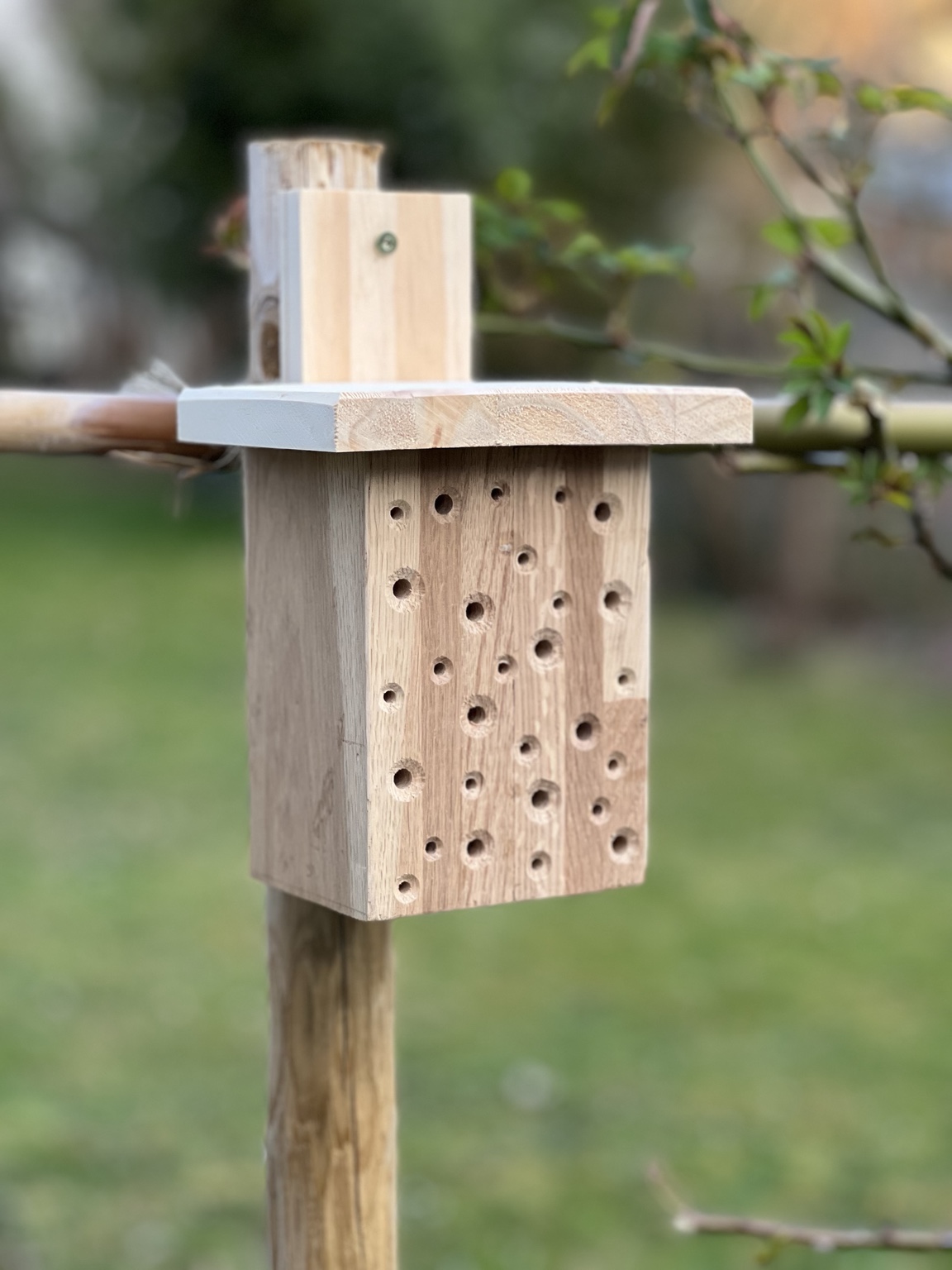 Hôtel à insectes en chêne installé sur un pieu dans le jardin